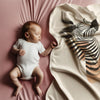 Zebra personalized blankets for kids and babies - Stripe Savvy