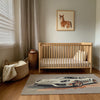 Car Area Rug for Nursery and Kids Rooms - Fast Flash