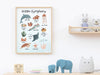 Educational Sea Animals Wall Art