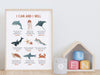 Positive Affirmations Sea Creatures Wall Art