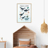 Educational Whales Wall Art