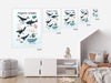 Educational Whales Wall Art