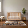 Kids and Nursery Raccoon Area Rug - Raccoon Rascals