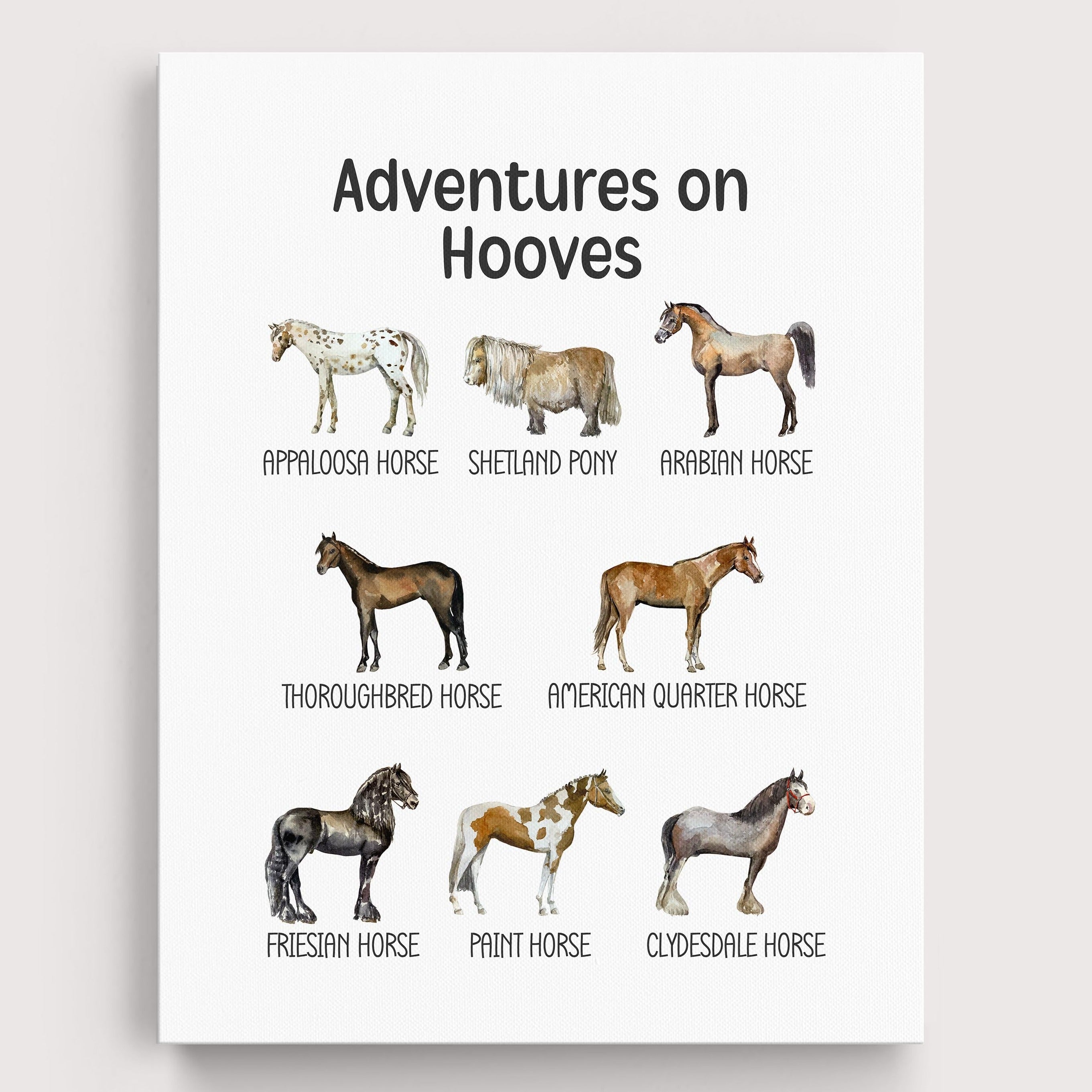 Educational Horse Wall Art