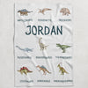 Dinosaur Personalized Blanket for Babies and Kids