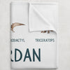 Dinosaur Personalized Blanket for Babies and Kids