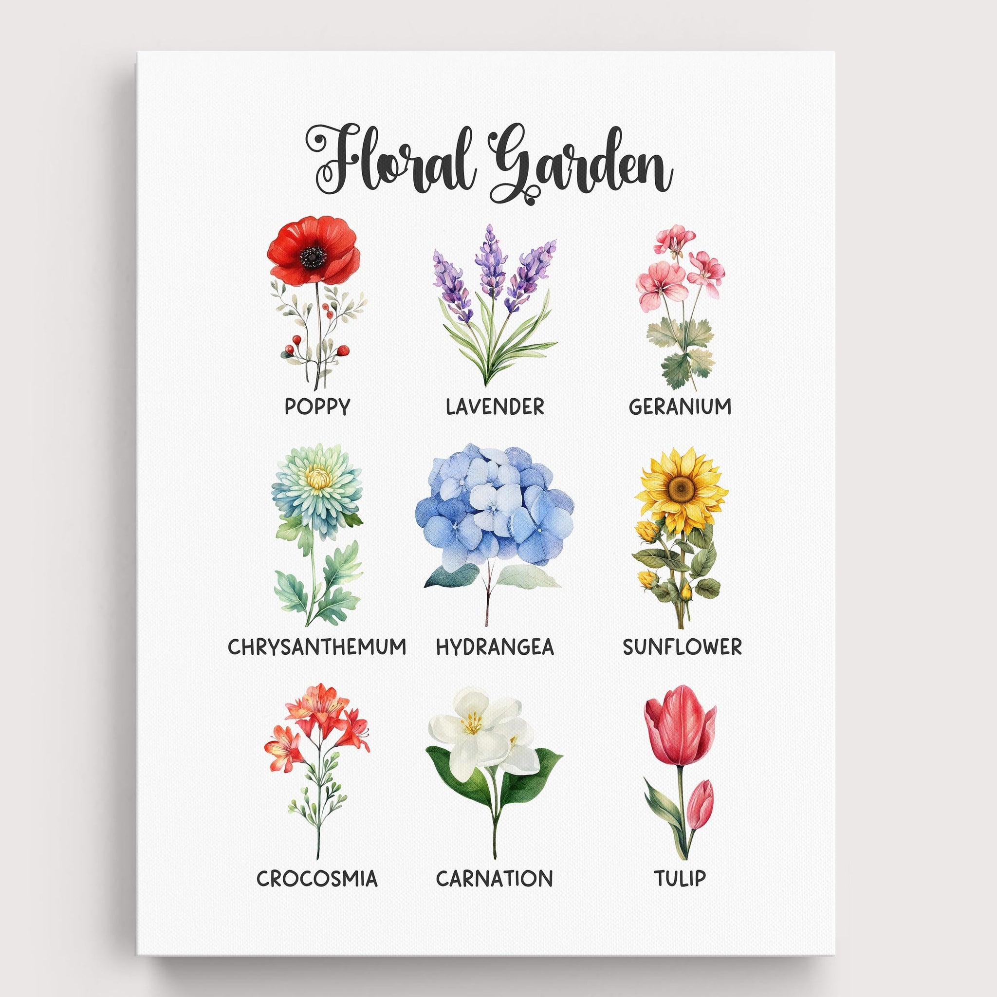 Educational Flowers Wall Art