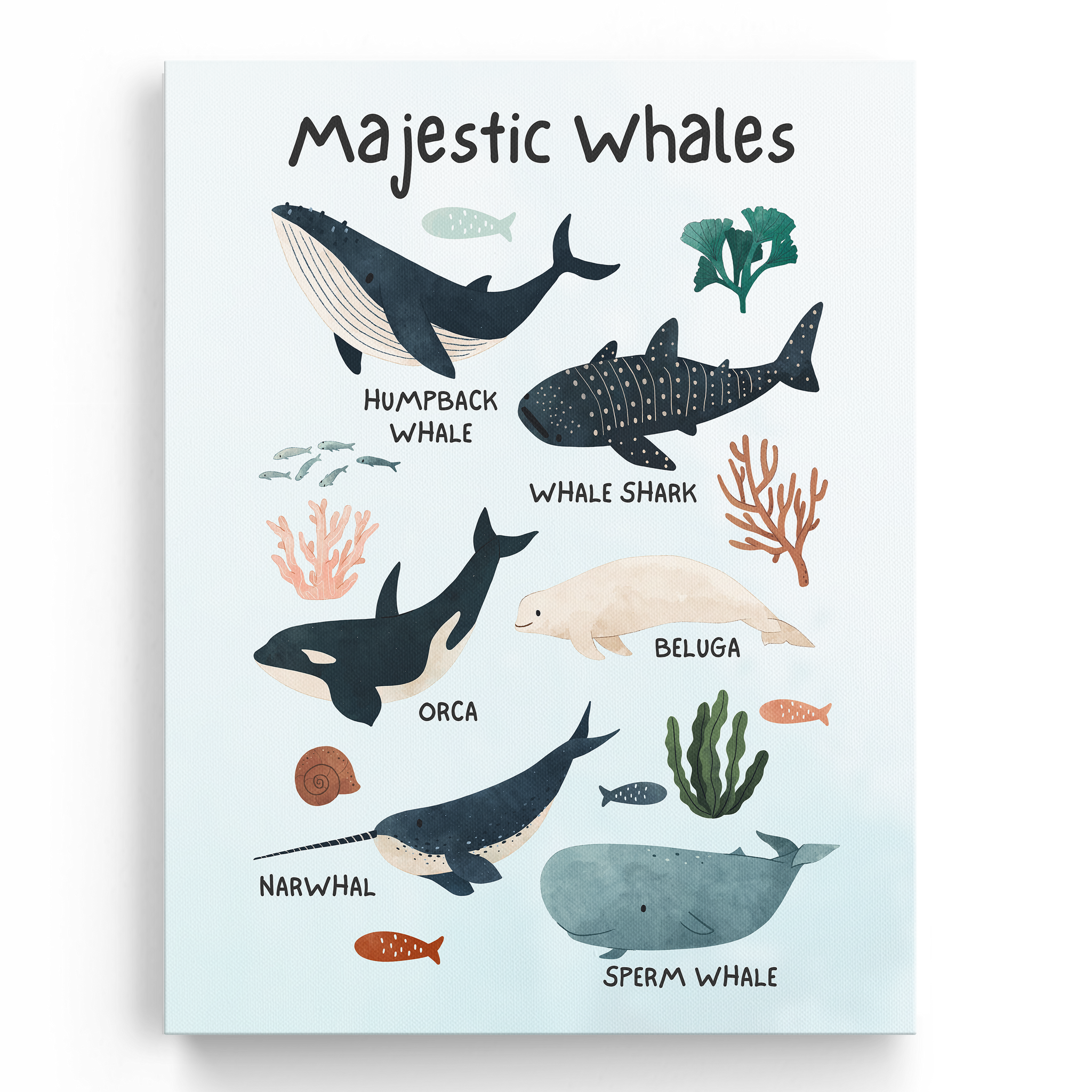 Educational Whales Wall Art