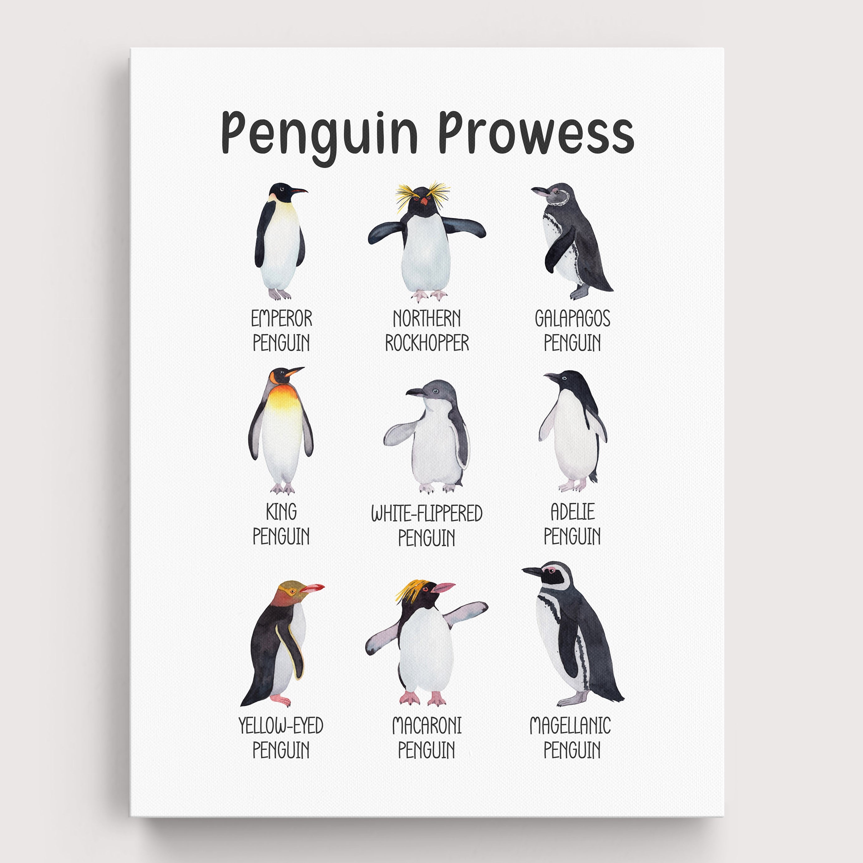 Educational Penguins Wall Art