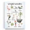 Educational Birds Wall Art