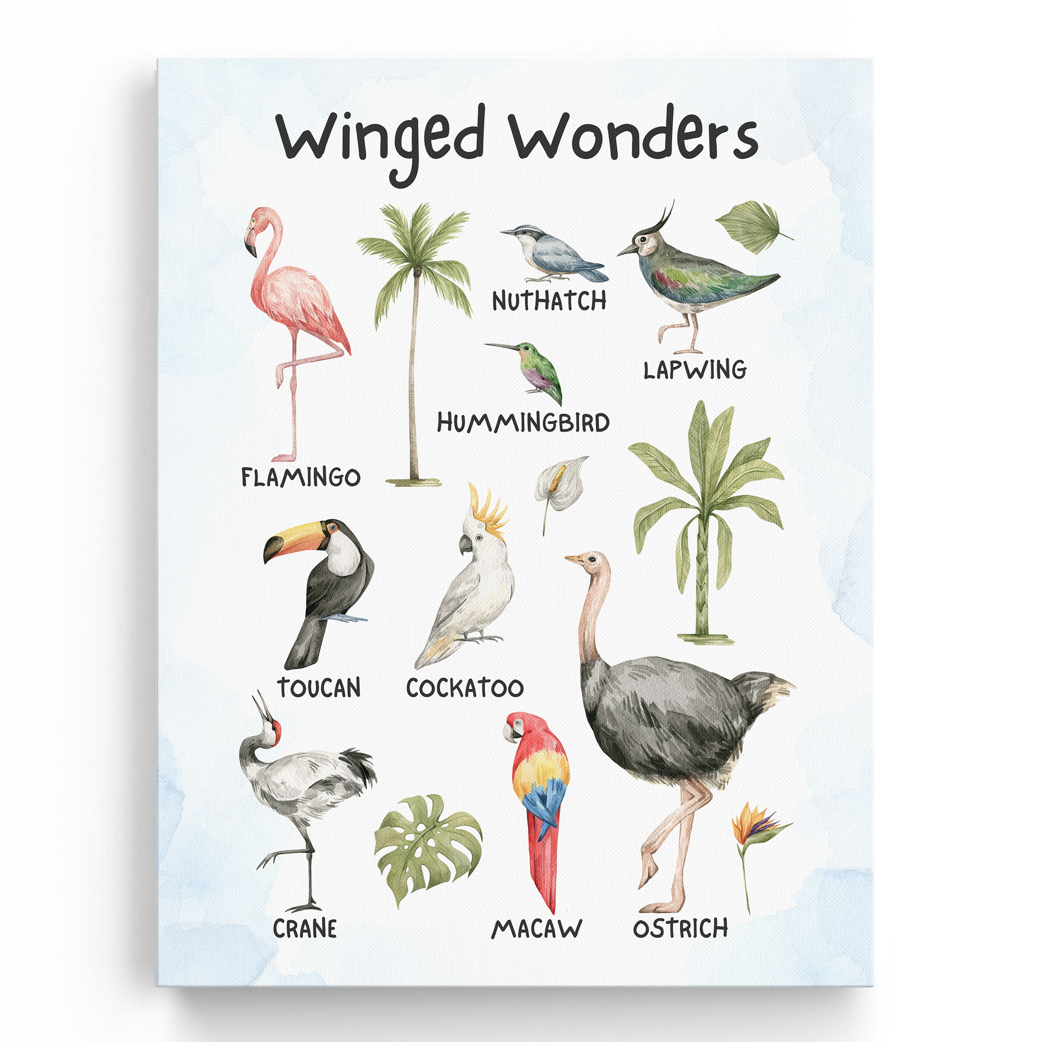 Educational Birds Wall Art