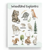 Educational Woodland Wall Art