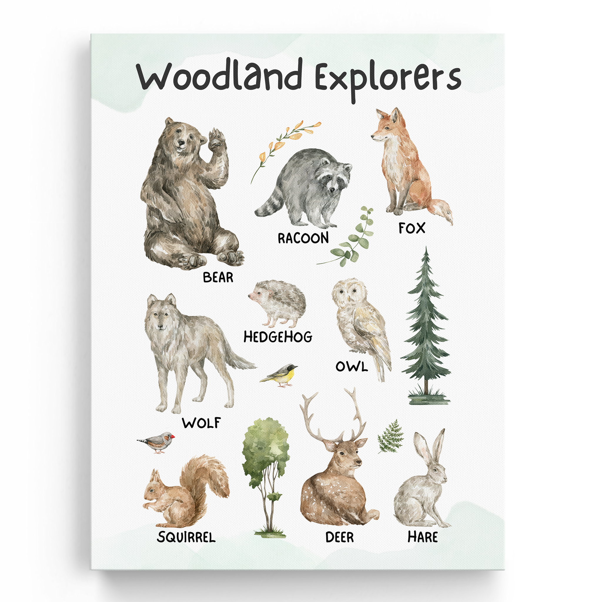 Educational Woodland Wall Art